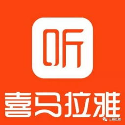 這個盛夏，帶你認識三福家的新成員——數字文化
