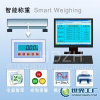電子稱重4~20mA與0-10V輸出工業(yè)衡器供應(yīng)——精準(zhǔn)秤量，賦能智能制造